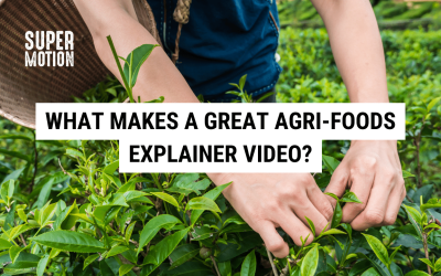 What Makes a Great Agri-Foods Explainer Video?