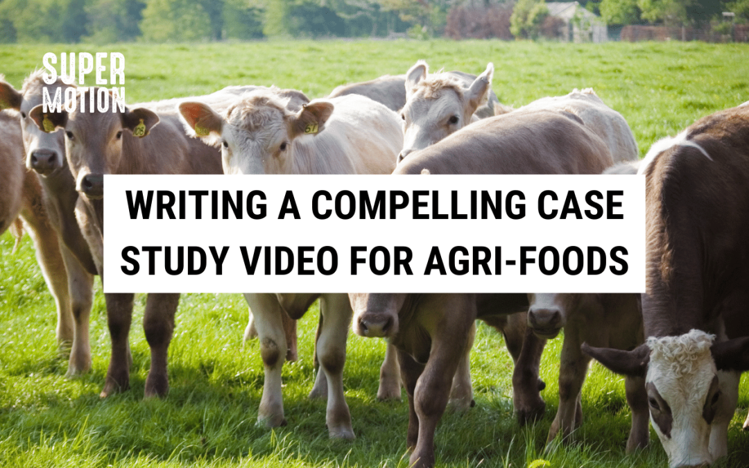 Overcoming Challenges in Creating Effective Explainer Videos in the Agri-Foods Industry