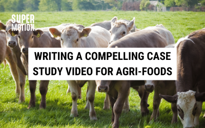 Writing a Compelling Case Study Video for Agri-Foods